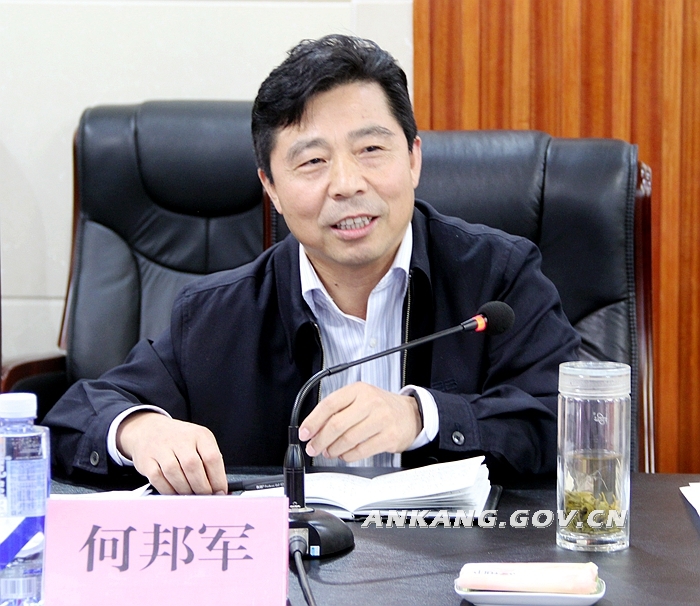 何邦军与深圳能源集团座谈招商项目