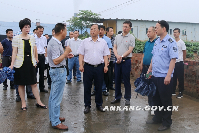 鲍永能到汉滨恒口检查调研环保,退耕还林工作-安康市