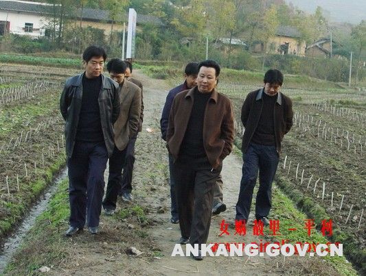 平利县召开蚕桑建园及冬管工作现场会
