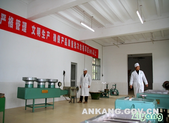 标准化茶叶加工厂建设投资项目商业计划书