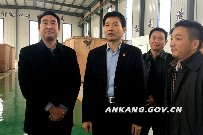 徐启方到石泉县白河县调研检查工作