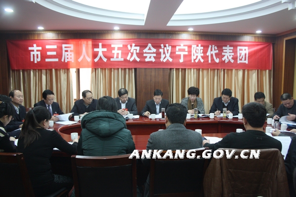 邹明参加市三届人大五次会议宁陕代表团讨论